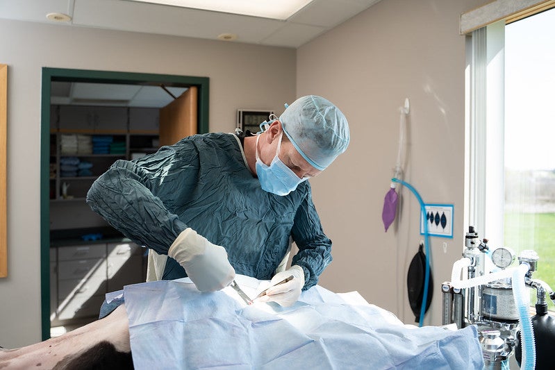 Dr. Brumfield performing surgery